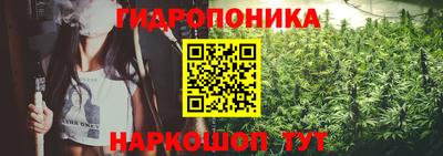 PSILOCYBIN Усть-Джегута
