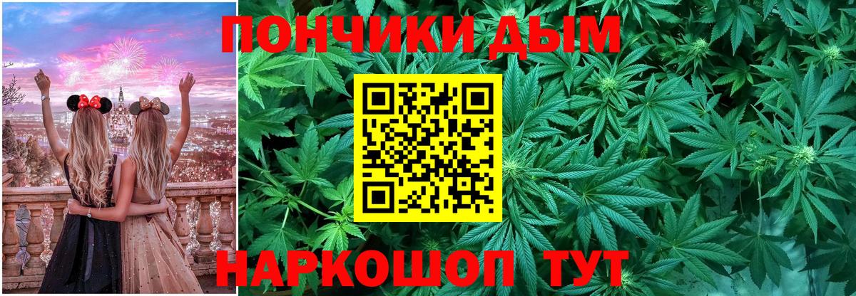 Конопля гибрид Ачхой-Мартан